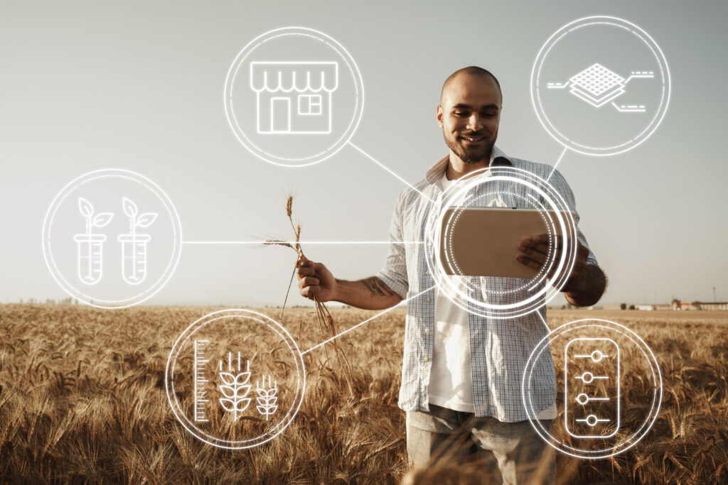 Como organizar o fluxo operacional em empresas rurais no início do ano