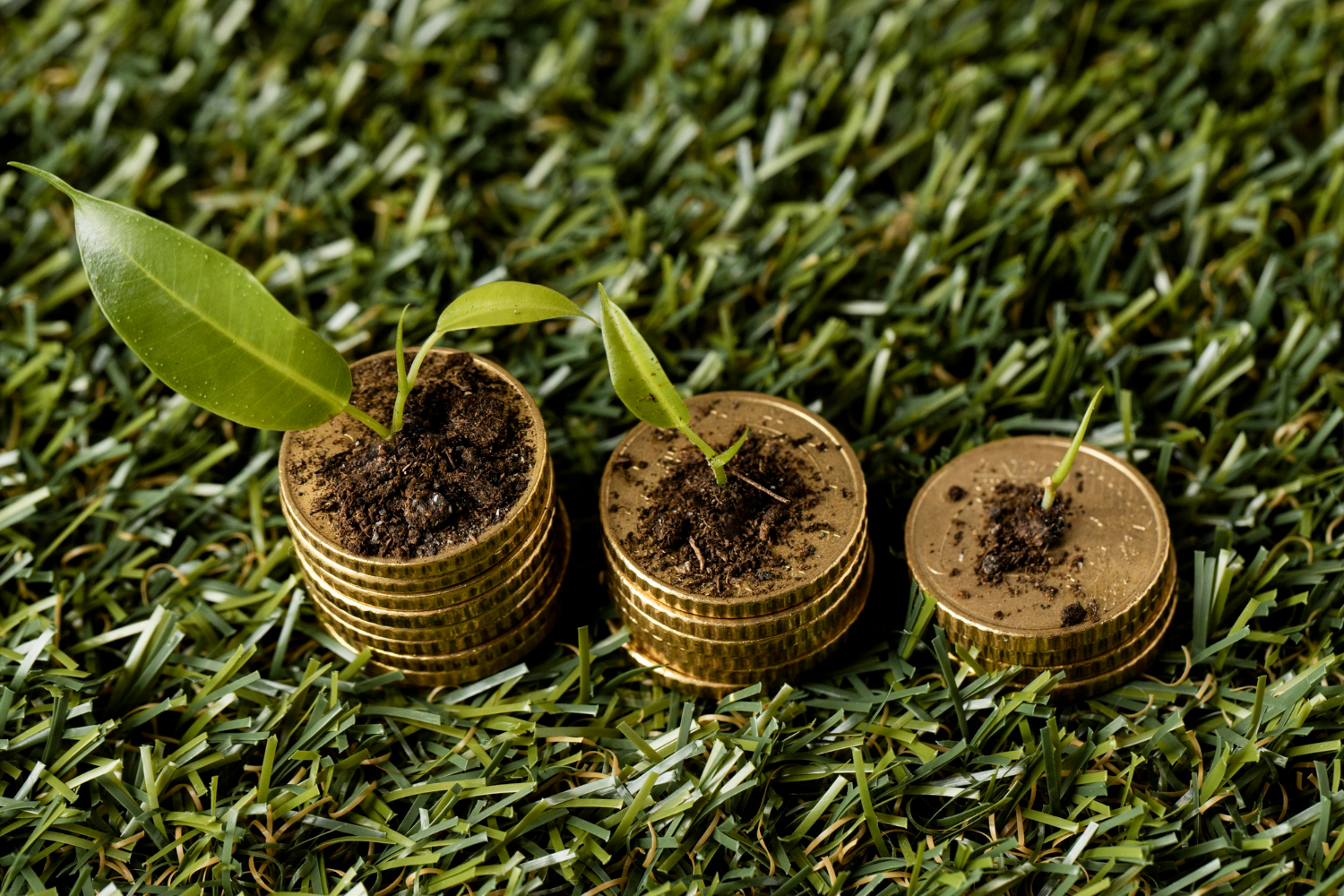 Reforma tributária para o agronegócio em 2026 sem riscos