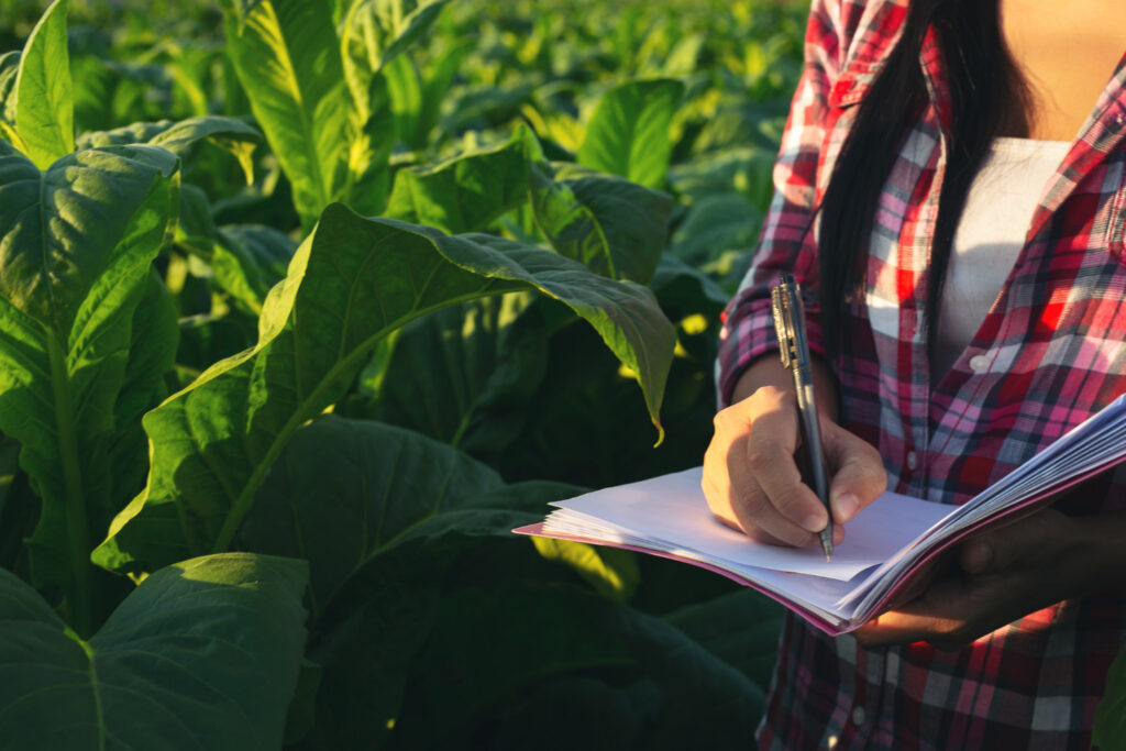 Oportunidades de economia tributária para empresas do agronegócio
